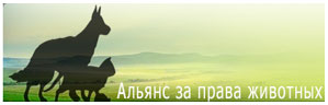 Alliance for Animal Rights
