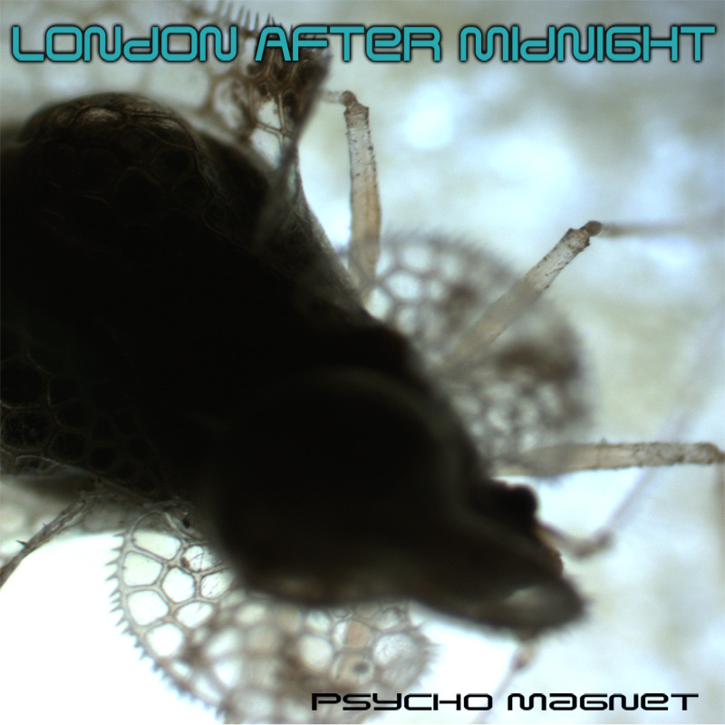 Psycho Magnet